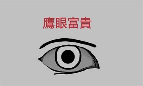 鷹眼面相男|解析面相中的「鷹眼」